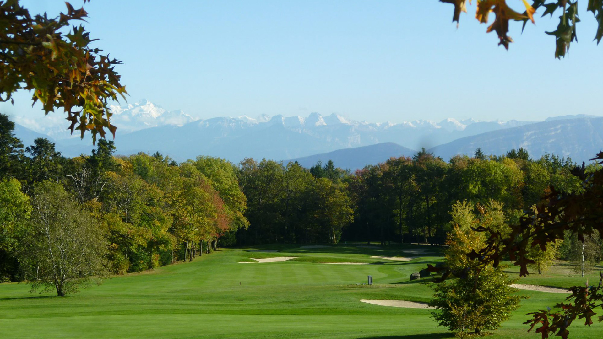 Championnat suisse interclubs Dames A1